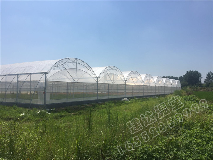 怎樣避免日光溫室變形倒塌